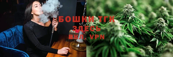 гидропоника Горно-Алтайск