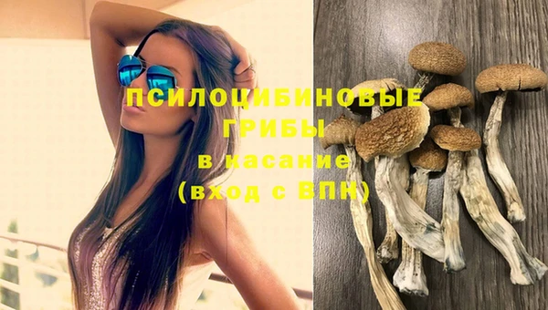 кокс Горнозаводск