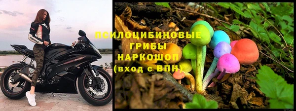 ГАЛЛЮЦИНОГЕННЫЕ ГРИБЫ Горняк