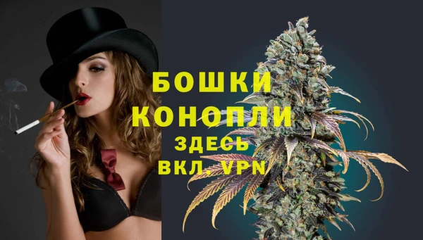 ГАЛЛЮЦИНОГЕННЫЕ ГРИБЫ Горняк