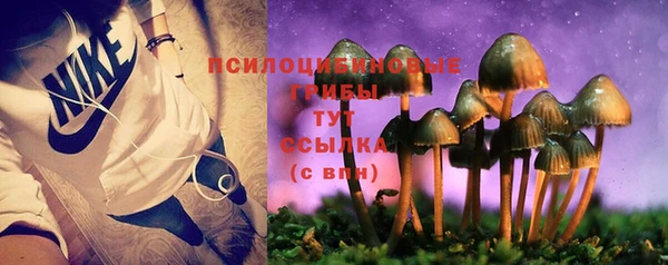 гидропоника Горно-Алтайск