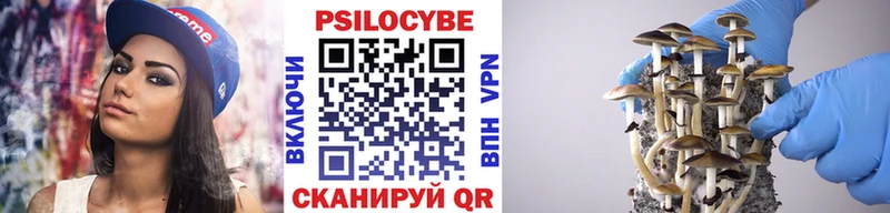 Галлюциногенные грибы Psilocybine cubensis  что такое наркотик  Дорогобуж 