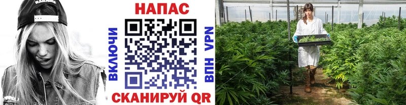 Шишки марихуана THC 21%  Дорогобуж 